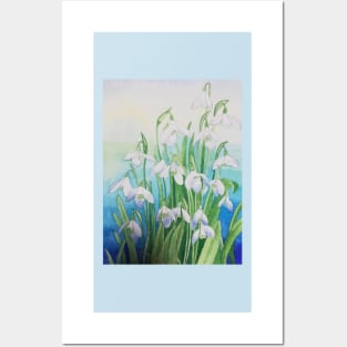 Snowdrops watercolour painting with a blue background. Posters and Art